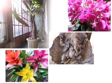 KAGURA | 別府のリラクゼーション