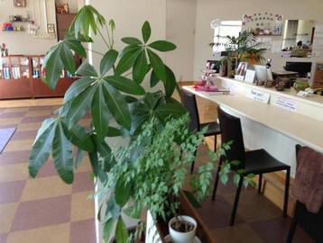 Hair　Art　aill | 沖縄のヘアサロン