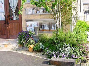 Blue Star | 松山のエステサロン