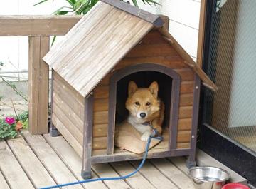 海岸通り Kawanoe | 四国中央のヘアサロン