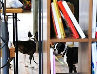 9（nono） | 自由が丘のヘアサロン