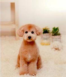 PAR BLEU amuser | 代官山のネイルサロン PAR BLEU amuser | 代官山のネイルサロン