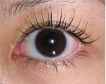 もぐりん | 新横浜のリラクゼーション もぐりん | 新横浜のリラクゼーション