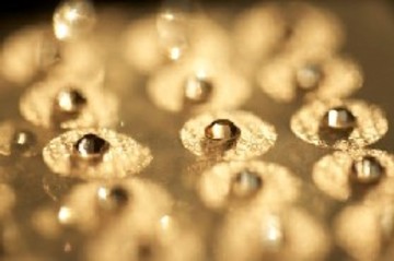 美ＴＲＩＢＥ | 大森のアイラッシュ