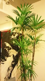 esthetic salon Plime | 淀屋橋/北浜のエステサロン esthetic salon Plime | 淀屋橋/北浜のエステサロン