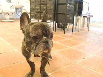 CIEL | 表参道のヘアサロン