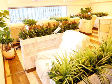 エメローズ(aimerose)梅田店 | 梅田のアイラッシュ エメローズ(aimerose)梅田店 | 梅田のアイラッシュ