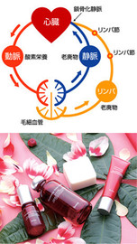 Nepenji Ebisu | 恵比寿のヘアサロン