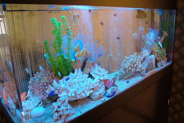 アイラッシュサロン Serina 渋谷店 | 渋谷のアイラッシュ