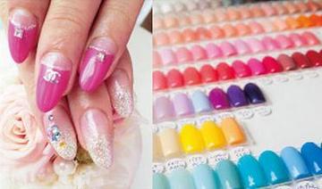 Nail Shelter 横須賀本店 | 横須賀のネイルサロン