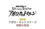 APOLLO カットステージ 相模大野店 | 相模原のヘアサロン