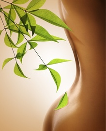 Aromatherapy&Herbal life 【Majorana】 | 茂原のリラクゼーション Aromatherapy&Herbal life 【Majorana】 | 茂原のリラクゼーション