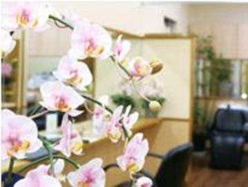 HAIR MAKE air 北鴻巣店 | 鴻巣のヘアサロン