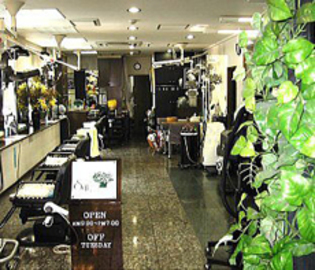 サロンド・サン | 千葉のネイルサロン