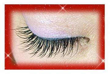 CREA＆Nａｉｌ Stage 小岩店　【アイラッシュ】 | 小岩のアイラッシュ