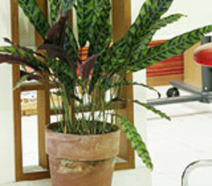 Hair Mode KT TSUKAMOTO | 十三のヘアサロン