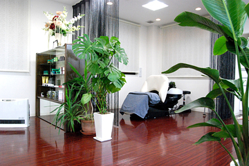 トキワ美容室 銀座本店 エステティック | 伊賀のエステサロン トキワ美容室 銀座本店 エステティック | 伊賀のエステサロン