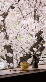 ハッピーフェイスサロン　クレッセンス | 大宮のエステサロン