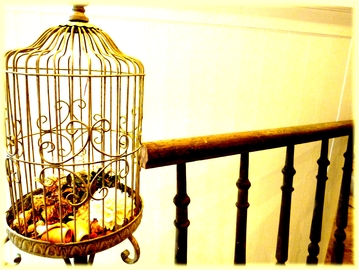 gally | 下北沢のヘアサロン gally | 下北沢のヘアサロン