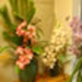 Le JARDIN 芦屋店 | 芦屋のヘアサロン