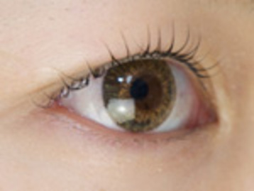 アバンダンティア 姫路店 | 姫路のアイラッシュ アバンダンティア 姫路店 | 姫路のアイラッシュ