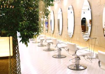 ALEX西鈴店 | 長田/新開地のヘアサロン ALEX西鈴店 | 長田/新開地のヘアサロン