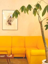 ALEX西鈴店 | 長田/新開地のヘアサロン ALEX西鈴店 | 長田/新開地のヘアサロン