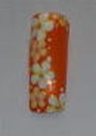 Lei Lani | 藤沢のネイルサロン