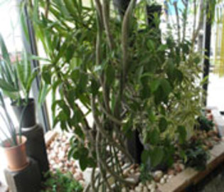 hair room clear | 那覇のヘアサロン