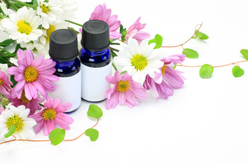 アロマサロン/カモミールハート | 伊勢原のリラクゼーション