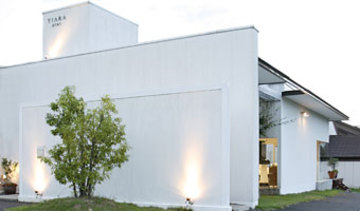 TIARA Plus | 草津のヘアサロン