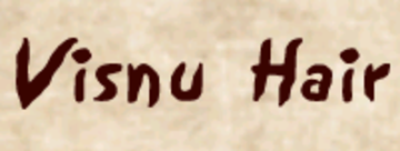 Visnu Hair ～リラクゼーション～ | 府中のリラクゼーション