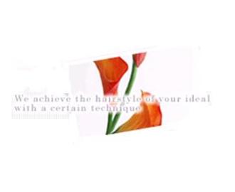 Ultimate ~ アイラッシュ ~ | 和泉のアイラッシュ Ultimate ~ アイラッシュ ~ | 和泉のアイラッシュ