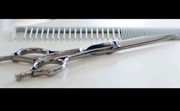 Can I Dressy　津田沼店　～ヘアーサロン～ | 津田沼のヘアサロン