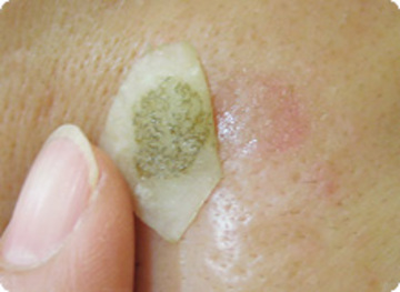 レイジア Day Spa 中央アルプス | 伊那のエステサロン