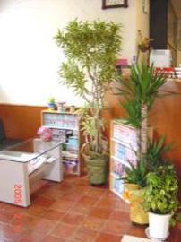 美容室ディヴァ | 須坂のヘアサロン 美容室ディヴァ | 須坂のヘアサロン