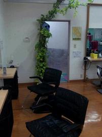 髪家 廿日市店 | 廿日市のヘアサロン 髪家 廿日市店 | 廿日市のヘアサロン