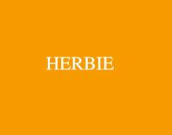 美容室 HERBIE 02 | 所沢のヘアサロン