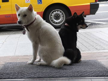 aimable　aime | 元町のヘアサロン