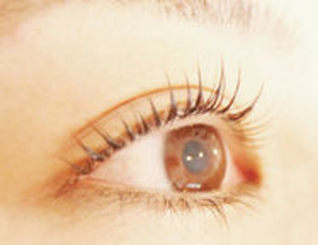 アンジュ～eyelash an～ | 吉祥寺のアイラッシュ