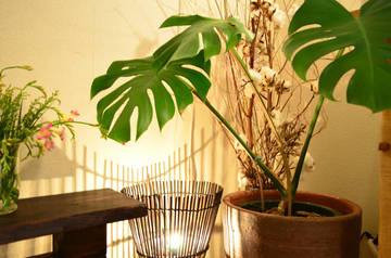 K-aruku | 吉祥寺のリラクゼーション