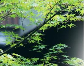 Hair&Esthe Garden ~エステサロン~ | 町田のエステサロン Hair&Esthe Garden ~エステサロン~ | 町田のエステサロン