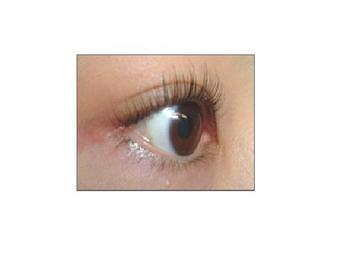 ネイルサロン＆スクール ヴィーナス 高知店～ｱｲﾗｯｼｭ～ | 高知のアイラッシュ