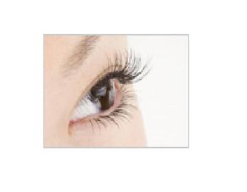 ネイルサロン＆スクール ヴィーナス 高知店～ｱｲﾗｯｼｭ～ | 高知のアイラッシュ