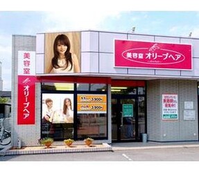 美容室オリーブヘア 大在店 | 大分のヘアサロン