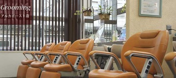 ヘアサロン スカイアルカイースト店 | 錦糸町のヘアサロン ヘアサロン スカイアルカイースト店 | 錦糸町のヘアサロン