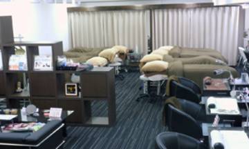 きれいｄｅチュッ! 桜ビル店　～アイラッシュ～ | 名駅のアイラッシュ