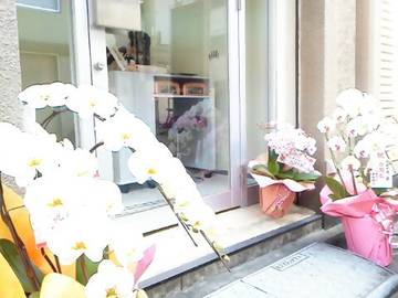 Crois　～ネイルサロン～ | 錦糸町のネイルサロン