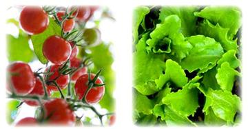 健康壱番館　春日原 | 春日のリラクゼーション