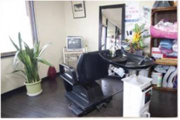 ヘアーザデビュー | 苫小牧のヘアサロン